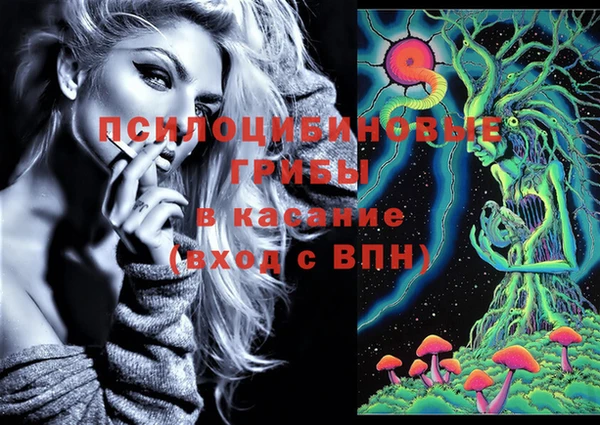СК Осинники